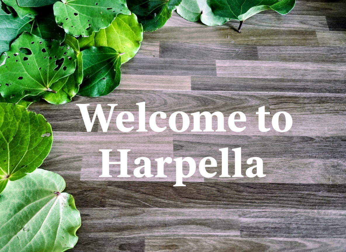 Welcome to Harpella larger text banner
